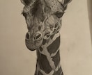 動物、人物の鉛筆画描きます サイズ変更◎ペットの似顔絵デッサンなど〜 イメージ2