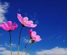あなたの悩みを解決するまでお手伝い致します どんな悩みも解決します。一緒に前進しましょう！ イメージ2