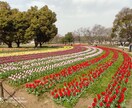 1ヶ月お話相手になります 人生経験豊富なベテランがお悩み相談にのります。 イメージ2