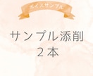 ボイスサンプル原稿添削します 現役声優がボイスサンプル原稿の添削→提案1回を行います！ イメージ1