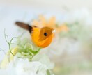 空いた時間に❁はんなり京都弁でお話ききます ゆるっと気軽に友達感覚で会話しましょう♩ イメージ2