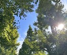 故人に伝えられなかった想いを伝えます 後悔、感謝、本音。5代続く霊媒師が責任持ってお伝えします。 イメージ2