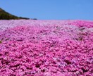 1分でも大丈夫です♪あなたのお話なんでも聴きます わかってほしい、あなたの気持ちに寄り添います。 イメージ4