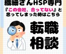 繊細さんが転職でぶつかる壁と乗り越え方を教えます HSPの人は転職活動、要注意。傷つきやすいのでサポートします イメージ1