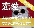 今聞きたい【当日回答】彼の気持ち♥サクッと占います ご質問おひとつ、サクッと鑑定いたします♥深掘りは別メニューへ イメージ1