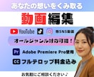 高品質丁寧作業YouTube・SNS動画編集します 意図をくみ取り、雰囲気まで届ける編集/フルテロップ込 イメージ1