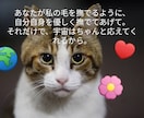 猫のオラクルカードでメッセージを届けます ネコ世界から届く愛と癒やしのスピリットメッセージ イメージ2