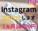 Instagramの運用を最安値で代行致します 運用にお悩みの方、ニーズに合わせて丁寧に対応いたします イメージ1