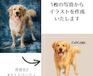 うちの子（ペット）を世界で1つだけのアートにします 選べる背景色15パターン！大切な家族をイラストにませんか？ イメージ2