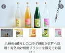 クラウドファンデング ページ制作します CAMPFIRE公式パートナーがページ制作します イメージ3