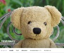 コミコミ4万★綺麗で高品質のHP作成します SEO対策セキュリティ対策済み!サーバー導入からサポート！ イメージ1