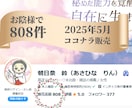 ライトコードで浄化・活性化☆具現化を加速します その他ご要望により、ライトコードや活用法を伝授 イメージ2