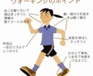 心身共に効果のあるトレーニングをレッスンします 元気で幸せでいられる身体作りを楽しみながら目指しましょう！ イメージ3