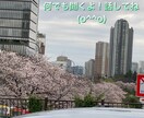 何でも聞きます 超前向き志向だよ。楽しく話そ！ イメージ1