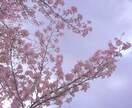 仕事、交友関係、家族、恋愛の愚痴を聞きます 愚痴を聞いてもらいたいけど誰にもいえなくてモヤモヤしている方 イメージ1