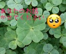 恋愛、お話し相手、愚痴、悩み、その他のお話聞きます 初めたばかりですが、寄り添いの言葉を大事にします。 イメージ1