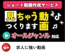 リール・Tiltok用動画作ります 目的にあった動画で、認知度拡大を手助けします イメージ1