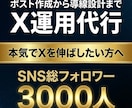 X(旧Twitter)の運用代行をいたします 【完全手動】X（旧Twitter）運用代行いたします イメージ1