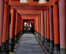 土日限定！京都でカメラマンが素敵なお写真撮影します 京都を訪れる方、京都に在住の方全員が対象です！ イメージ5