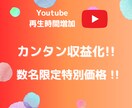 収益化！あなたのYoutubeの再生時間増やします ✨残り3名で値上げ！ユーチューブチャンネル収益化！限定特価✨ イメージ1