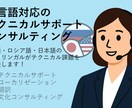 多言テクニカルサポート・コンサルティングをします 英露日のトリリンガルがテクニカル課題を解決します！ イメージ1