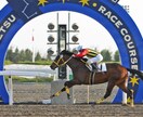 門別競馬予想☆少頭数で的中目指します オッズ無視の人気に左右されない予想をしています☆ イメージ1