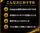 現役SNSマーケターがインスタ運用相談に乗ります 投稿内容・方向性・お悩みを30分で一緒に整理します イメージ5