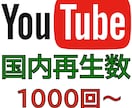 YouTube国内再生数増やします 日本国内限定でプロモーションします！ イメージ1