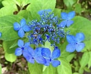 心身の大洗濯！＋愛と光のメッセージをお届けします 健康的な生活の土台の構築をサポートします！真に軽やかな毎日へ イメージ7