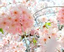 恋の悩み相談受け付けます あなたの恋を1番に応援します！ イメージ1