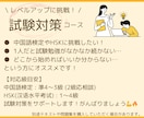 本編) 【月額】中国語の個別レッスンをいたします 上海５つ星ホテル勤務経験者が中国語を教えます！ イメージ5
