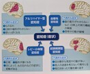 認知症予防のポイントを脳科学をもとに教えます 認知症の診断は生活に不可欠な5つの脳の働きで決まります イメージ7