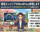 現役エンジニアがWordPress修理します まずはお気軽にお申し付けください イメージ1