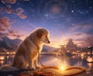 ペットと繋がり【霊視】で気持ちをお伝えします 何を考えているのか、普段聞けない事がわかります イメージ7