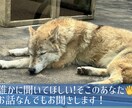 周りには話しづらいけど話したい。そんなお話聞きます アドバイスじゃなくてただ聞いてほしい、そんな望みを叶えます！ イメージ1