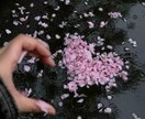 どんなお話でも聞きます 恋愛・不安・愚痴など気軽にどうぞ◎ イメージ1