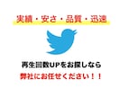 ツイッター再生回数＋１０００回増えるまで拡大します 即納品❗️Twitter（X）再生回数⭐️最大１０万再生UP イメージ2