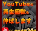 現役YouTubeマーケターが最安値で支援します 今抱えてる悩み、解決できます。 イメージ1