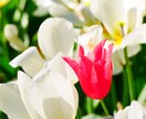 嬉しいこと!聞いて欲しい!お話し聞きます いい事があった!自慢話などお聞きします イメージ4