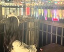 最安値♡現役心理系女子大生がチャットでお話聞きます 悩み相談・愚痴・恋バナ・雑談など何でもOKദ്ദി>ᴗ<) イメージ1