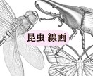 図鑑・教科書・教材のリアルなイラストを描きます 学術対応可能、教材・論文・専門書向けの正確な図版を提供します イメージ9