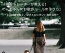わんちゃんのお散歩のルール作成についてお教えします お散歩でのお悩み、現役トレーナーと改善していきましょう！ イメージ1