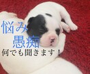 どんな話でもOK！24時間出来るだけ対応します 話を聞いてほしい方、話をしてほしい方待ってます！ イメージ1
