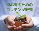 シンプルなやり方で稼ぐ方法教えます 難しい作業を半自動化へ、コンテンツ販売の究極とは イメージ1