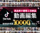 TikTok動画編集承ります 制作実績10,000本達成‼️ イメージ1