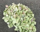 質問は一つ霊感にてお応えします 不安に思ったりわからなくなった時お気軽にお声掛けください イメージ1