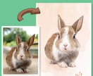 うちの子・ペットの似顔絵イラスト制作します ペットのお写真から水彩画風のイラストをお届けします。 イメージ7