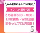 Web歴15年のプロがインスタ運用代行をします その他SEO・MEO・LINE構築・WEB全般まるっと支援！ イメージ1