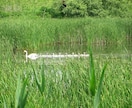 なんか虚無感、空っぽな心の声を聞きます 自分の気持ちもどうしたらいいかも分からない。全部話そう。 イメージ5