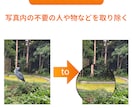 即納品&格安！白抜き、背景透明、写真加工します 切り抜き、色変更、不要物の除去、美容レタッチなど全て対応！ イメージ4